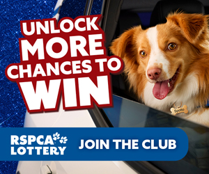Pet Supporter