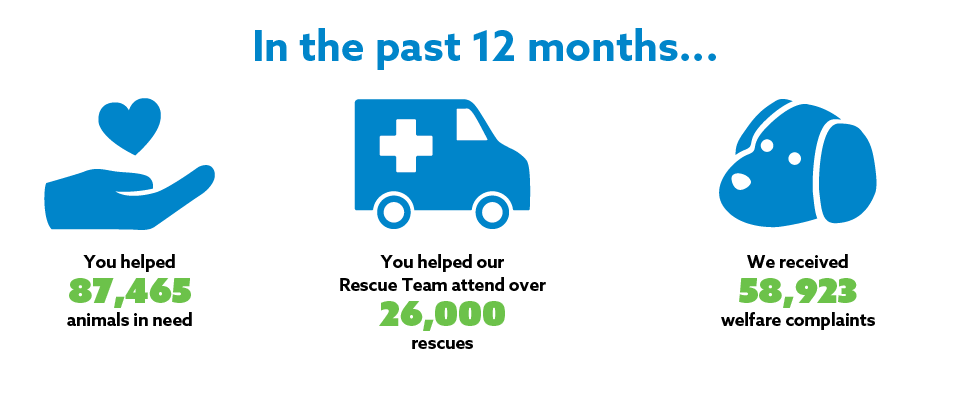 Rspca Lottery #80 Your Supporter Page (infographic) 970x400px V2