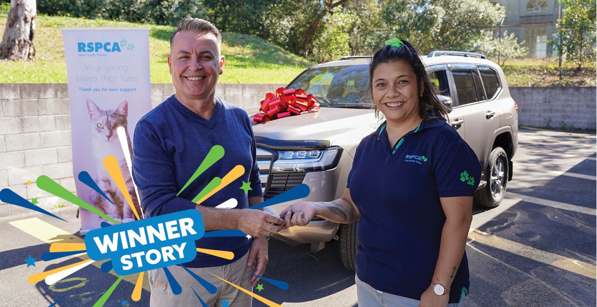 Rspca Lottery 91 89 Winner Web Header Banner 1164x600px