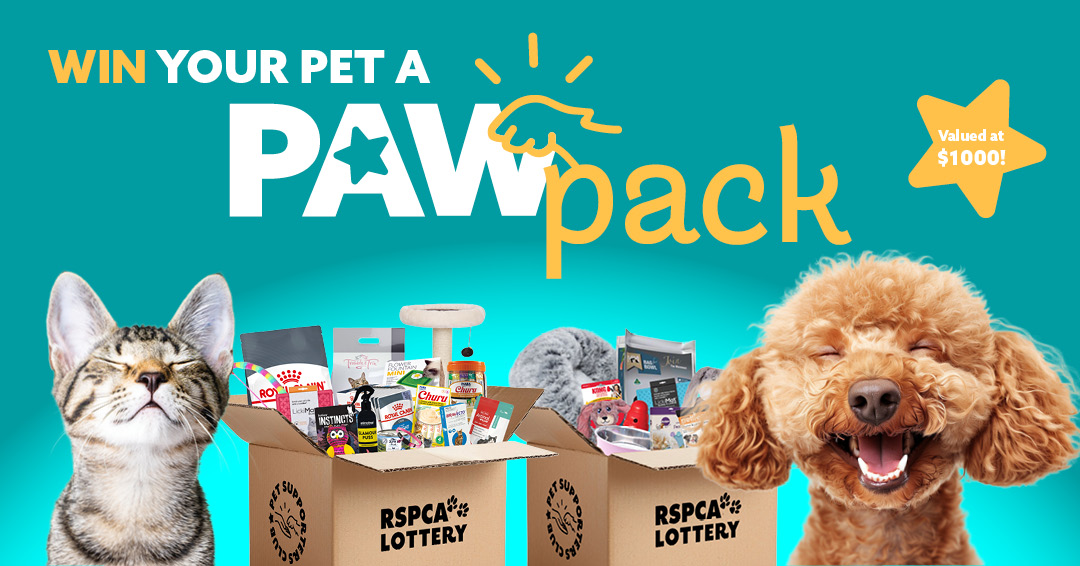 Psc Paw Pack Web Pet Form Page Cat and Dog 1080x566px