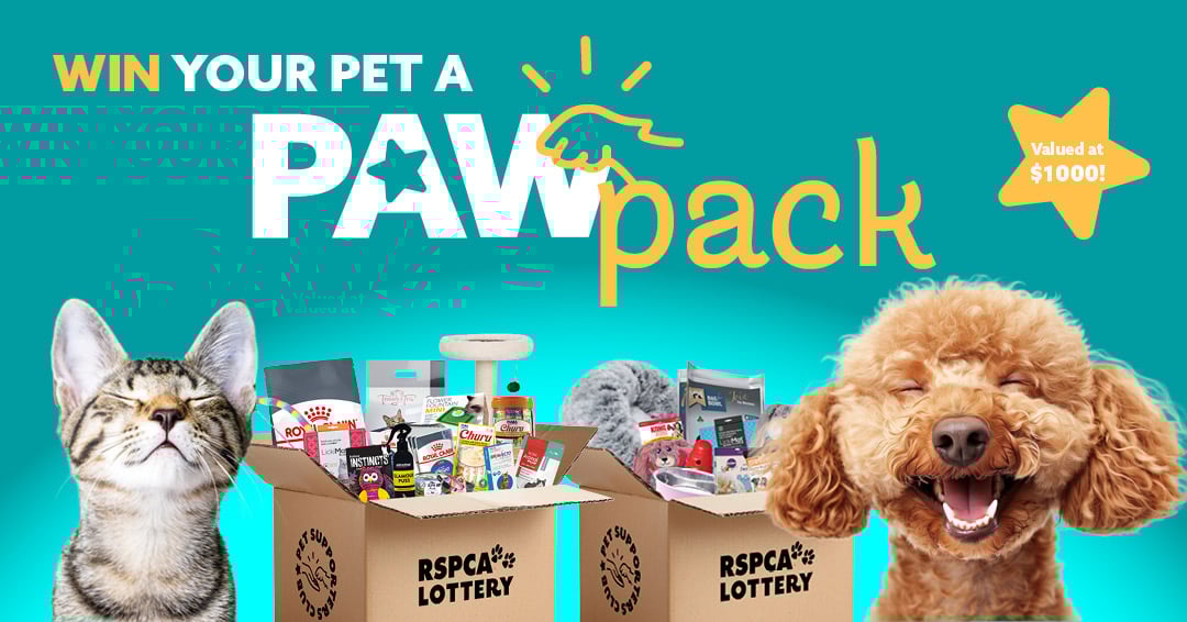 Psc Paw Pack Web Pet Form Page Cat and Dog 1080x566px