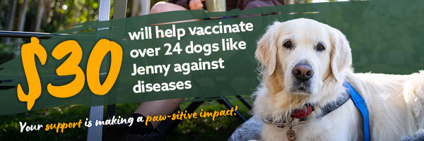 Rspca Lottery 92 Email Rnd1 E Dm 4 Cause Banner 600x200px