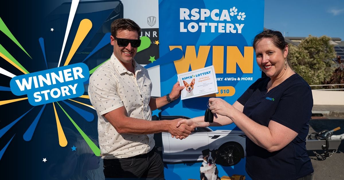 Lottery 86 Winner Feature Image 1200x628px