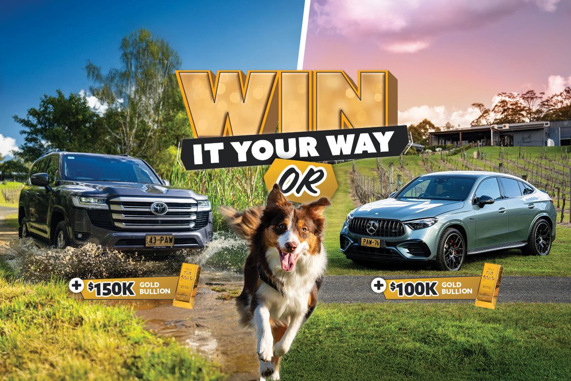 Rspca Lottery 93 Web Assets Hero Concept Homepage Banner 1170x780px