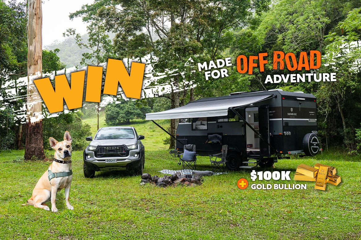 Rspca Lottery 90 Web Banner 1170x780px