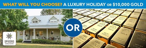 Holiday or gold?