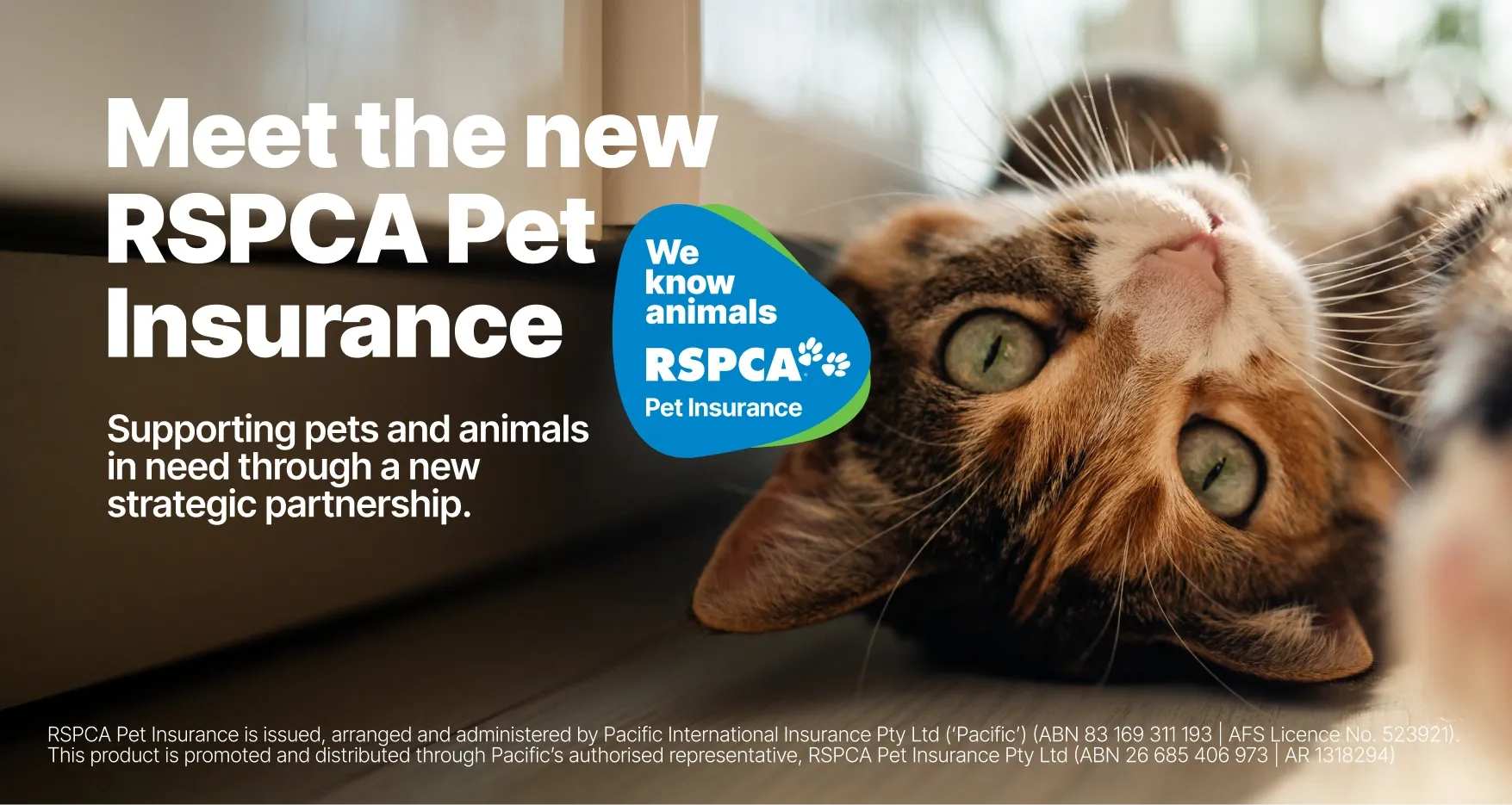 Feature & Gallery Image New 1170 X 783