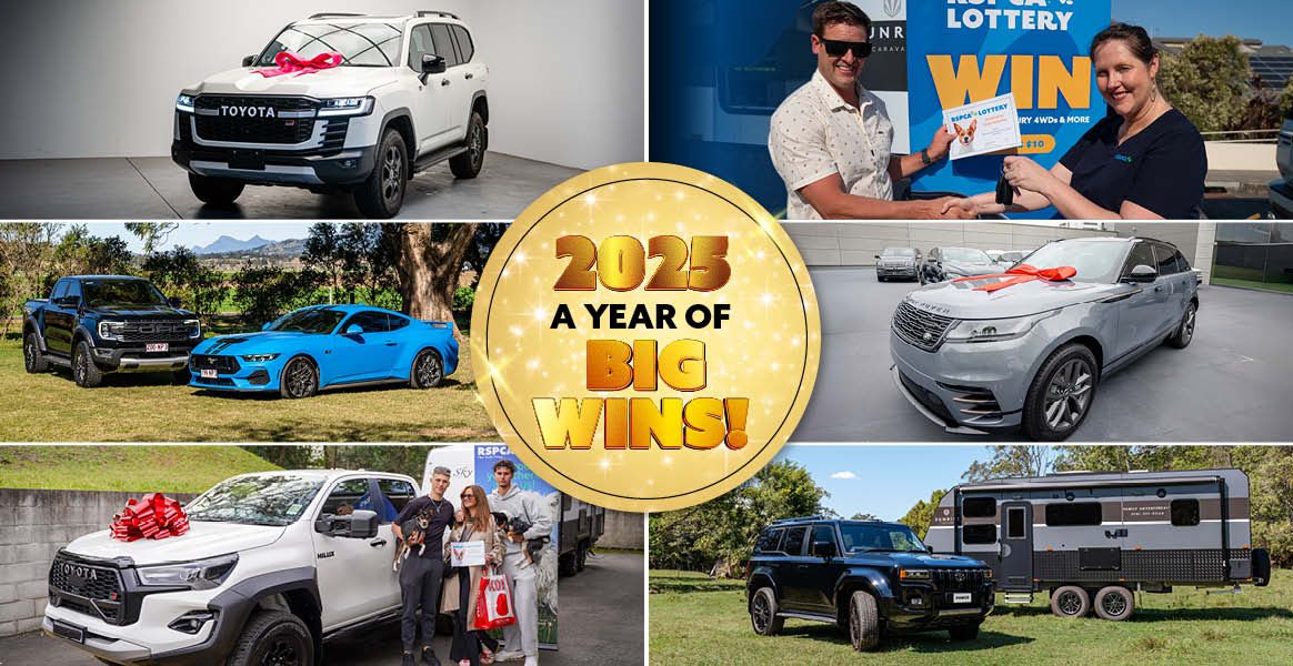 Rspca Lottery 89 Website Blog Header Ny Wrap up 1164x600px