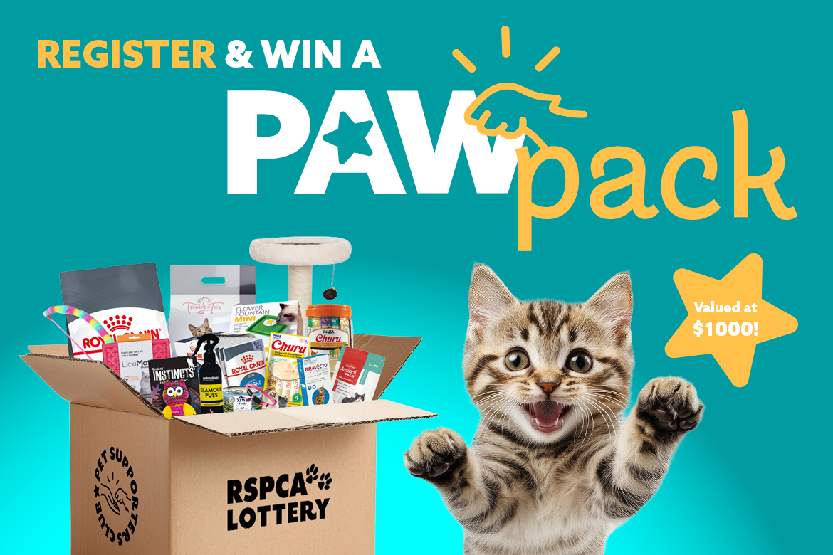 Psc Paw Pack Web Supporter Page Feature Image Cat 1170x780px